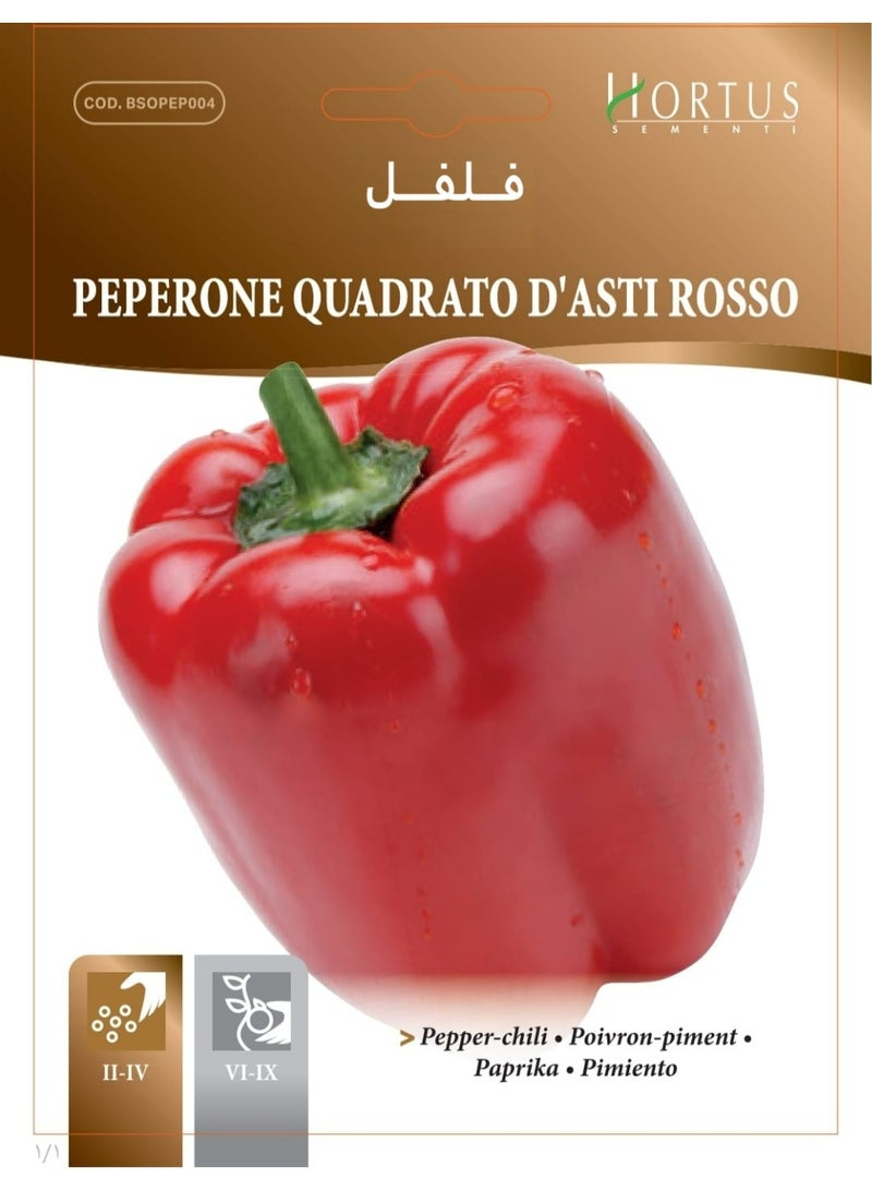 Asti Red Square Sweet Pepper Seeds
